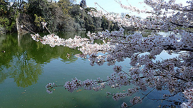 p3284835_thumb.jpg