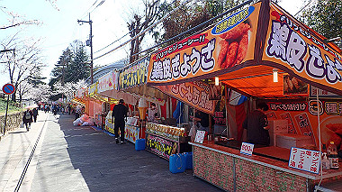 p3284856_thumb.jpg