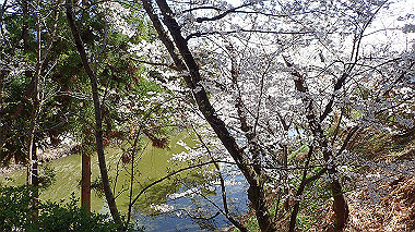 p3284865_thumb.jpg