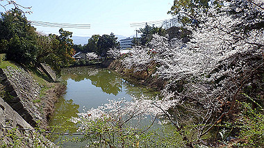 p3284868_thumb.jpg