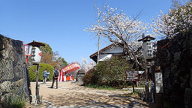 p3284870_thumb.jpg
