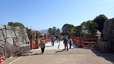 p3284874_thumb.jpg