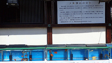 p3284878_thumb.jpg