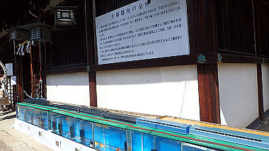 p3284881_thumb.jpg