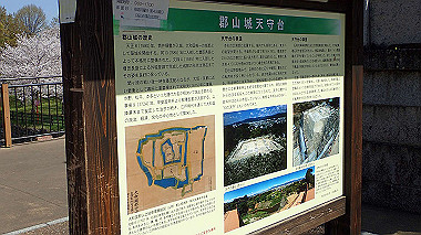 p3284885_thumb.jpg