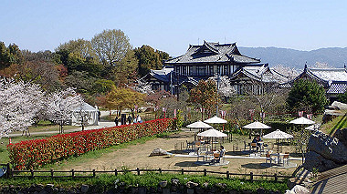 p3284888_thumb.jpg