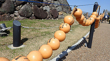 p3284893_thumb.jpg