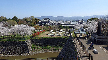 p3284897_thumb.jpg