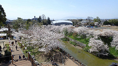 p3284899_thumb.jpg