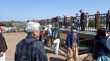 p3284900_thumb.jpg