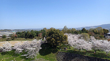 p3284904_thumb.jpg
