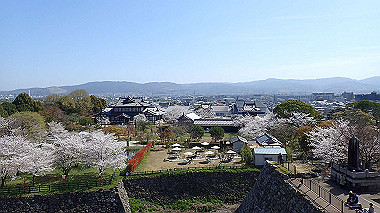 p3284905_thumb.jpg
