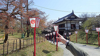 p3284914_thumb.jpg