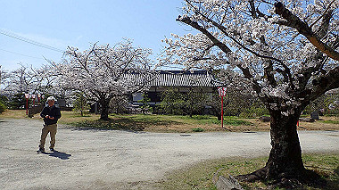 p3284917_thumb.jpg