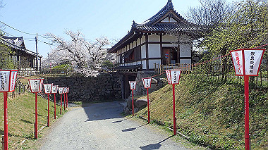 p3284918_thumb.jpg