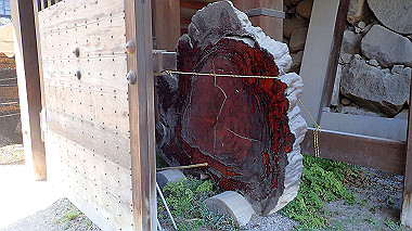 p3284921_thumb.jpg