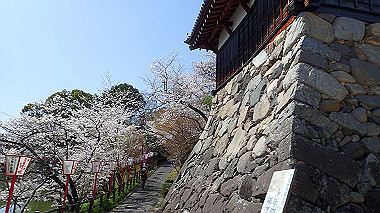 p3284925_thumb.jpg