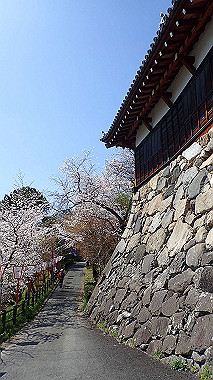 p3284926_thumb.jpg