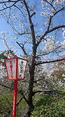 p3284930_thumb.jpg