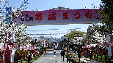 p3284937_thumb.jpg