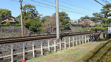 p3284943_thumb.jpg