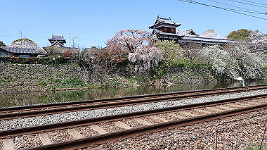p3284944_thumb.jpg