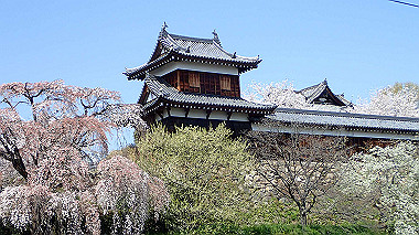 p3284945_thumb.jpg