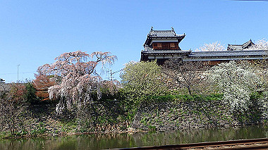 p3284948_thumb.jpg