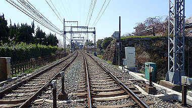 p3284953_thumb.jpg