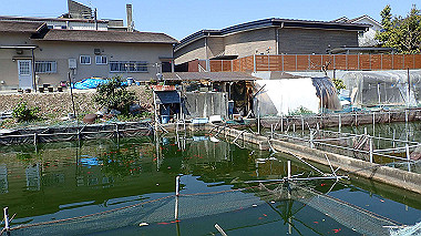 p3284955_thumb.jpg