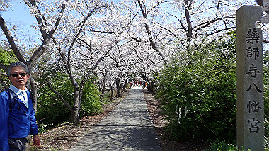 p3284961_thumb.jpg