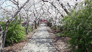 p3284962_thumb.jpg