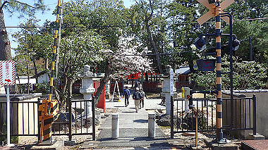 p3284967_thumb.jpg