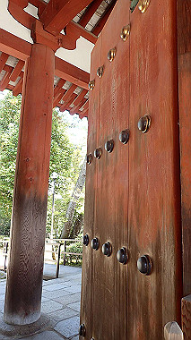 p3285005_thumb.jpg