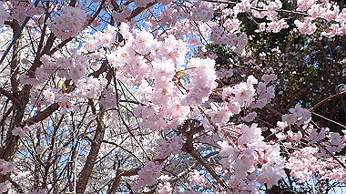 p3285022_thumb.jpg