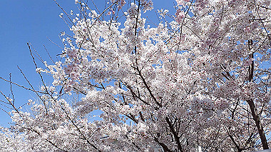 p3285025_thumb.jpg