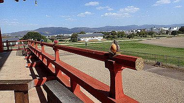 p3285157_thumb.jpg