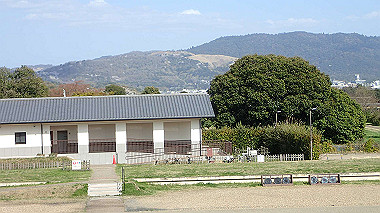 p3285172_thumb.jpg