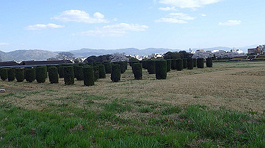 p3285181_thumb.jpg