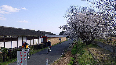 p3285185_thumb.jpg