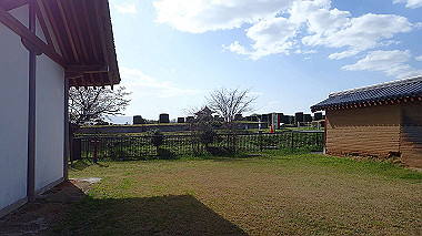 p3285190_thumb.jpg