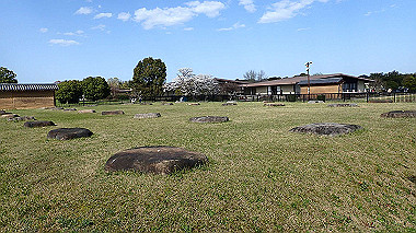 p3285195_thumb.jpg