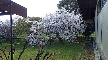 p3285221_thumb.jpg