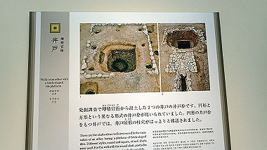 p3285224_thumb.jpg