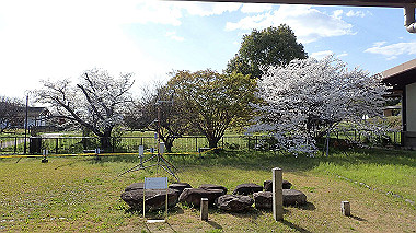 p3285238_thumb.jpg
