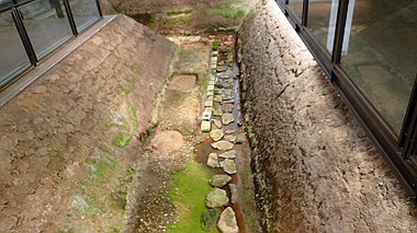 p3285242_thumb.jpg