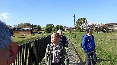 p3285250_thumb.jpg