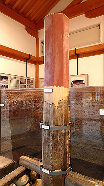 p3285262_thumb.jpg
