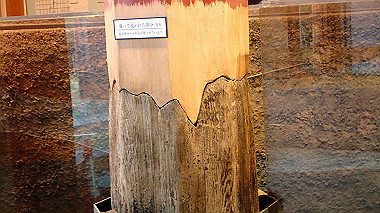 p3285264_thumb.jpg