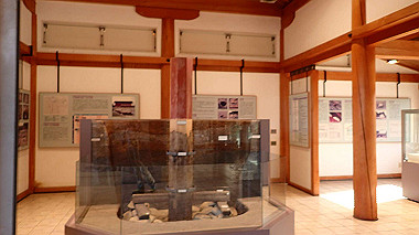 p3285270_thumb.jpg